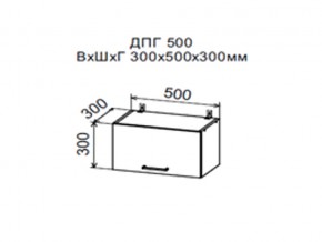 Шкаф верхний ДПГ500 горизонтальный в Алапаевске - alapaevsk.магазин96.com | фото