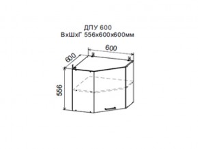 Шкаф верхний ДПУ600 угловой в Алапаевске - alapaevsk.магазин96.com | фото